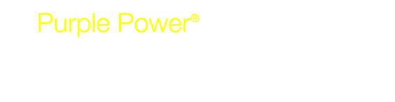 Purple Power® Prime-Shine® Bug Wash & Wax.